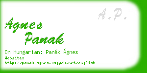 agnes panak business card