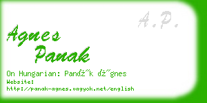 agnes panak business card